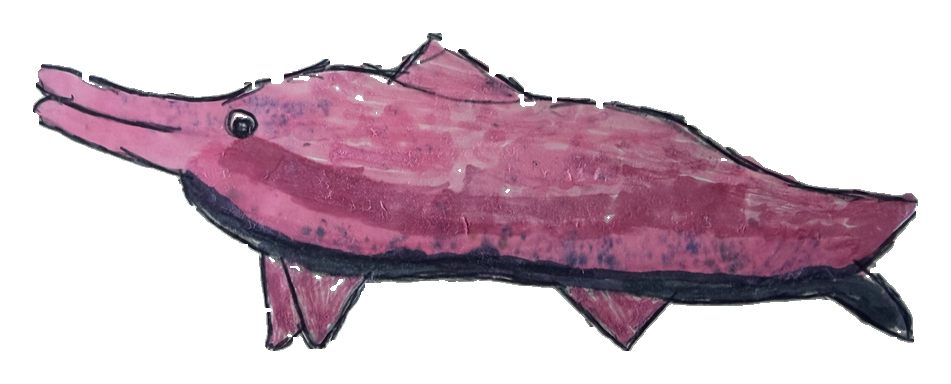A child's drawing of a pink river dolphin